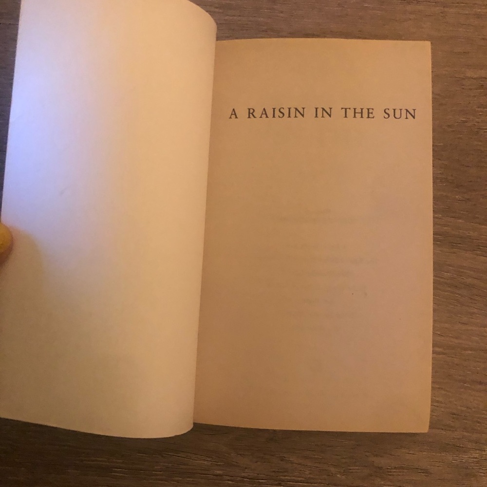 A Raisin In The Sun Book - Picture 3 of 4